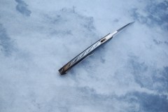 DSCN4191