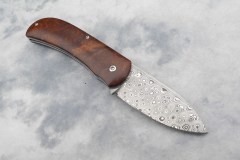 DSCN3781